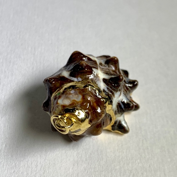 ⭐️ Gold Plated Shell ⭐️ - Picture 6 of 8